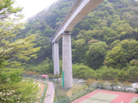 쎡wt߂̕i